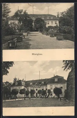 AK Mosigkau, Schloss, Parkansicht