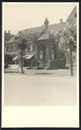 Foto-AK Rastatt, Johannisbrunnen