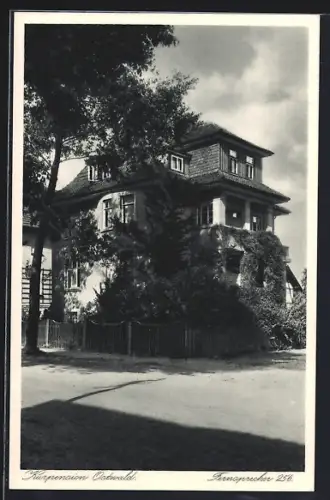 AK Bad Pyrmont, Hotel Ostwald im Sonnenschein