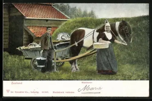 AK Zeeland, Walcheren, Bauern mit Pferdegespann