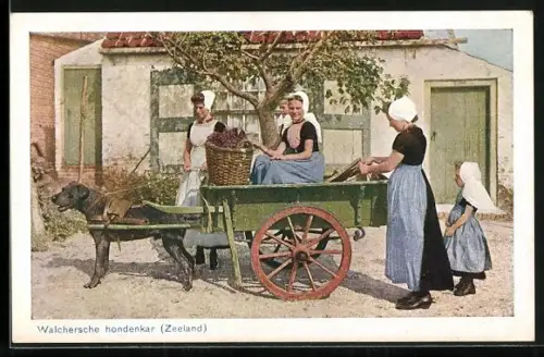 AK Niederlande, Zeeland, Walchersche Hondenkar, Hundewagen mit Bauernmädchen in Trachtenkleidern