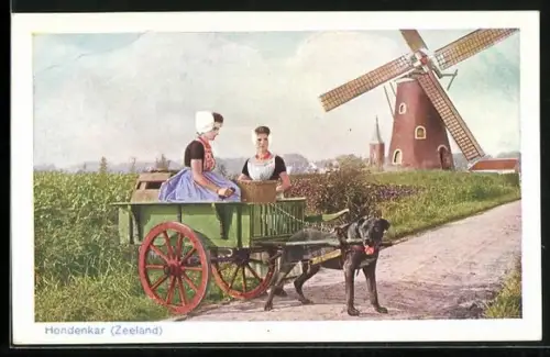 AK Zeeland, Hondekar, Frauen in einem Hundewagen vor einer Windmühle