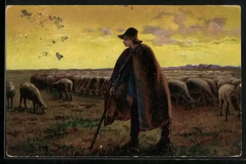 AK Hirte bei seiner Schafherde auf der Weide