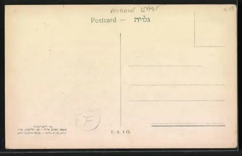 AK Tel-Aviv, Herzl Street