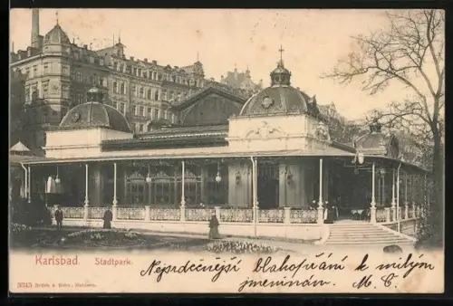 Künstler-AK Karlsbad, Stadtpark mit Terrasse