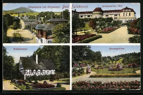 AK Bad Salzbrunn, Elisenhalle mit Hochwald, Schlesischer Hof, Wiesenhaus