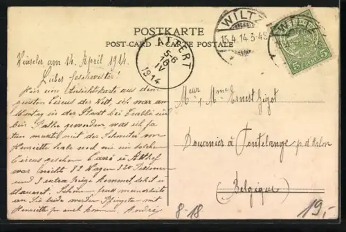 AK Affen des Hagenbeck-Tierparks fahren auf einem Tandem