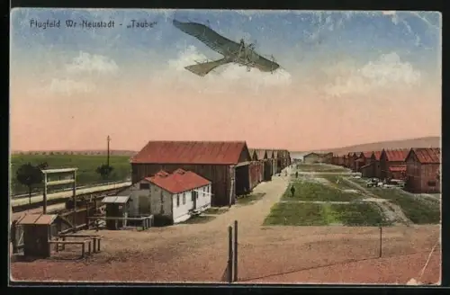 AK Wr.-Neustadt, Flugfeld, Flugzeug Etrich Taube