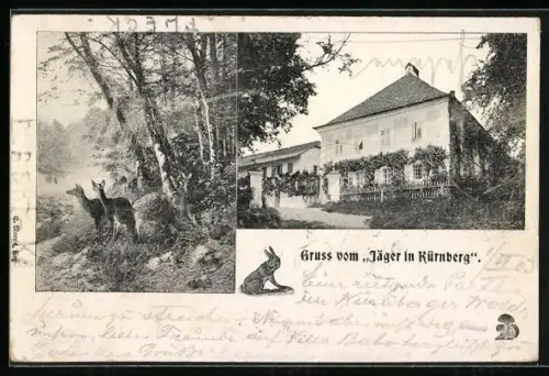 AK Linz, Gasthaus Jäger in Nürnberg, Rehe im Wald