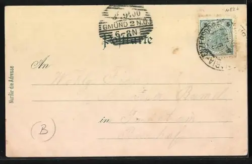 Lithographie Maria-Enzersdorf /N. Ö., Schloss Liechtenstein, Wallfahrtskirche, Schwarzer Thurm, Burg