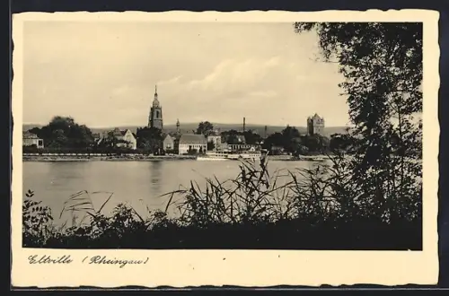 AK Eltville /Rheingau, Ortsansicht mit Flusspartie