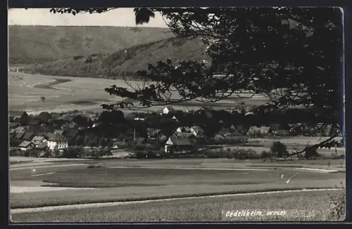 AK Oedelsheim /Weser, Ortsansicht mit Feldern