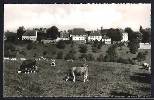 AK Kirchberg / Sulz, Berneuchener Haus, Domäne