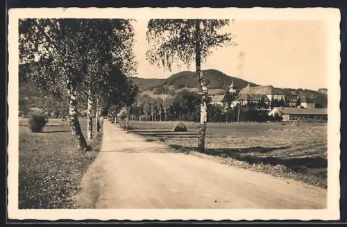 AK Schlehdorf am Kochelsee, Birkenallee