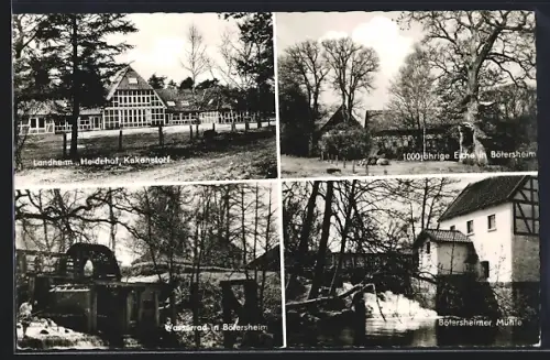 AK Kakenstorf, Landheim Heidehof, 1000jährige Eiche in Bötersheim
