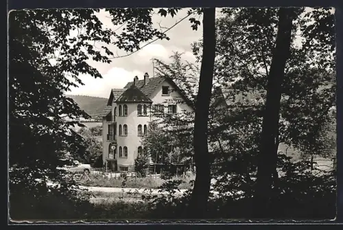 AK Igelsbach bei Eberbach, Pension Zum Dornröschen, Bes. Joh. Tikale