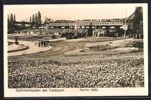 AK Berlin-Charlottenburg, Sommerblumen am Funkturm, 1943