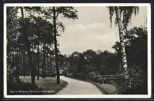 AK Berlin-Pankow, Partie im Volkspark