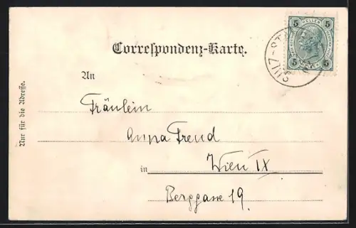 AK Sulz, Blick auf das Kurhaus