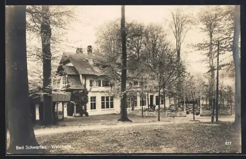 AK Bad Schwartau, Gasthof Waldhalle