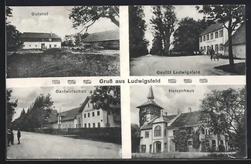 AK München-Ludwigsfeld, Gastwirtschaft, Herrenhaus, Gutshof, Gestüt
