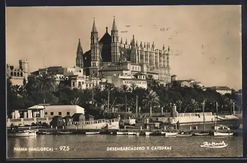 AK Palma /Mallorca, Desembarcadero y Catedral
