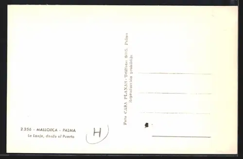 AK Palma de Mallorca, La Lonja desde el Puerto