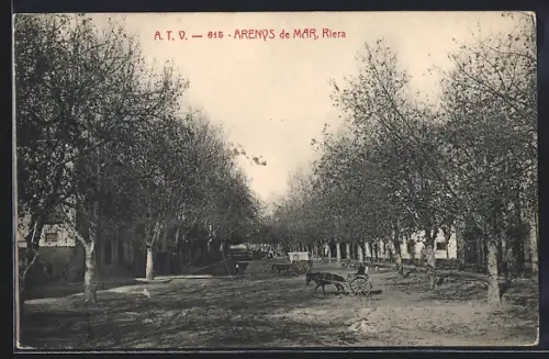 AK Arenys de Mar, Riera