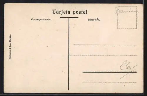 AK Malaga, Mercado de Alfonso XII