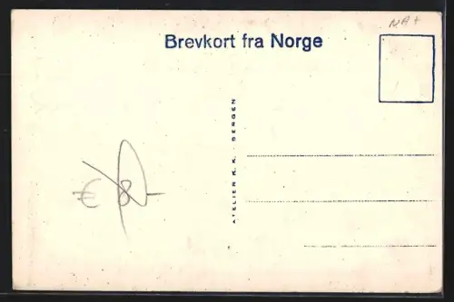 AK Fjoerland, Blick auf See