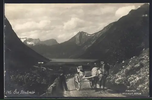 AK Öie /Söndmör, Pferdekutsche im Tal