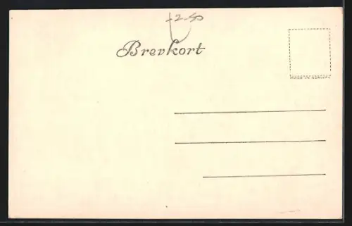 AK Troldhaugen, Interiör Fra