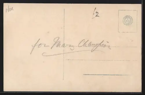 AK Laerdal, Panorama