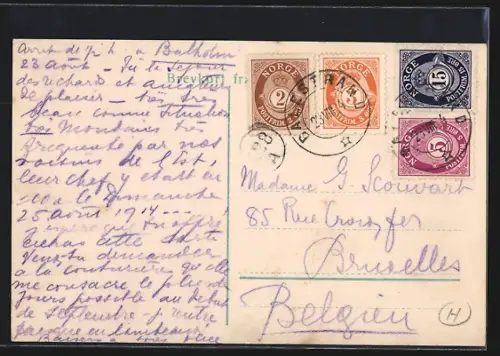 AK Balestrand, Ortsansicht mit Sogn