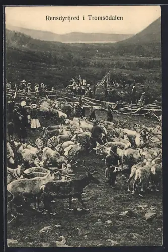 AK Tromsödalen, Rensdyrtjord