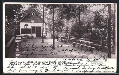 AK Schledehausen / Bissendorf, Gasthof Wilhelmshöhe mit Garten