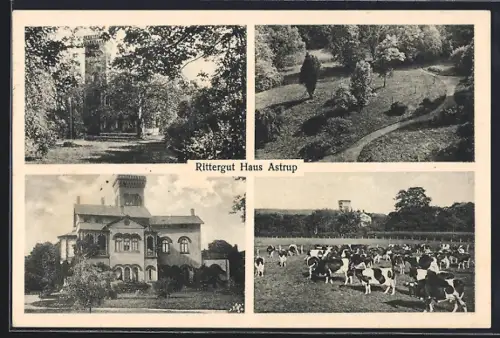 AK Belm / Osnabrück, Rittergut Haus Astrup, Kuhweide