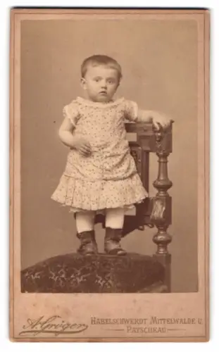 Fotografie A. Gröger, Habelschwerdt, Fritz Hans Julius Johann als Kleinkind