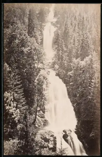 Fotografie unbekannter Fotograf, Ansicht Brienz, Giessbachwasserfall
