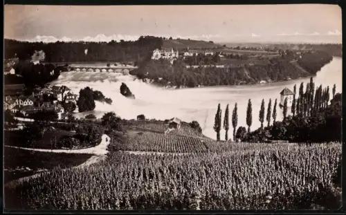 Fotografie unbekannter Fotograf, Ansicht Schaffhausen, Blick nach dem Rheinfall