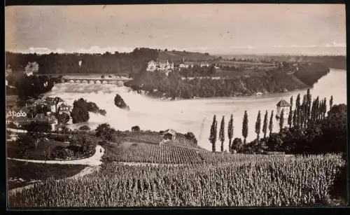 Fotografie unbekannter Fotograf, Ansicht Schaffhausen, Blick über die Weinreben nach den Rheinfall