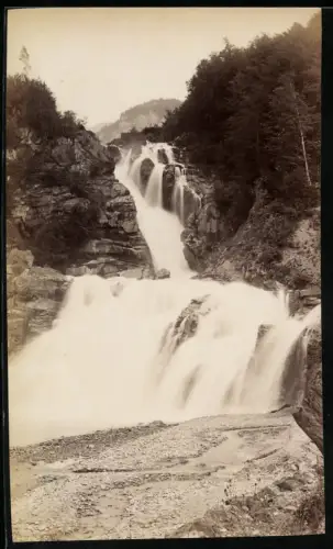Fotografie unbekannter Fotograf, Ansicht Schattenhalb, unterer Verlauf des Reichenbachfall