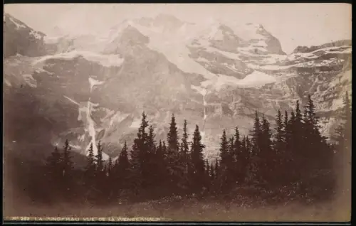 Fotografie unbekannter Fotograf, Ansicht Wengernalp, La Jungfrau vue de la Wengernalp