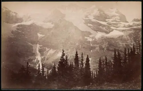 Fotografie unbekannter Fotograf, Ansicht Wengernalp, Blick nach dem Jungfrau Gletscher