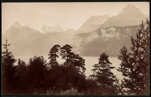 Fotografie unbekannter Fotograf, Ansicht Brunnen, der Urnersee mit Alpenpanorama