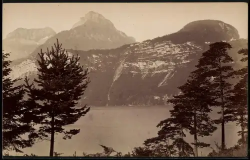 Fotografie unbekannter Fotograf, Ansicht Brunnen, Urnersee mit Felswand