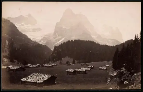Fotografie unbekannter Fotograf, Ansicht Rosenlaui, Heuhütten im Tal mit Blick zum Wetterhorn