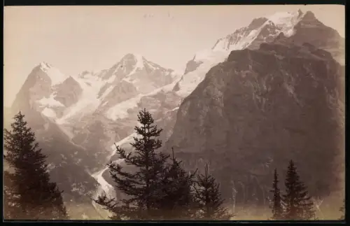 Fotografie unbekannter Fotograf, Ansicht Mürren, Mönche, Eiger und Jungfrau, Gletrscher