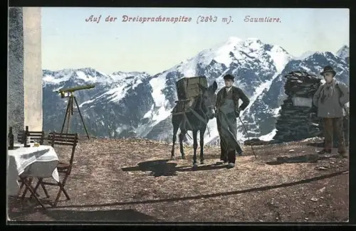 AK Dreisprachenspitze, Männer mit Saumtier