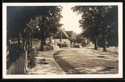 AK Wyk a. Föhr, Strassenpartie im Ort
